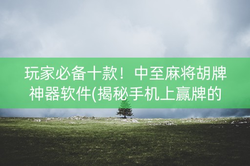 玩家必备十款！中至麻将胡牌神器软件(揭秘手机上赢牌的技巧)