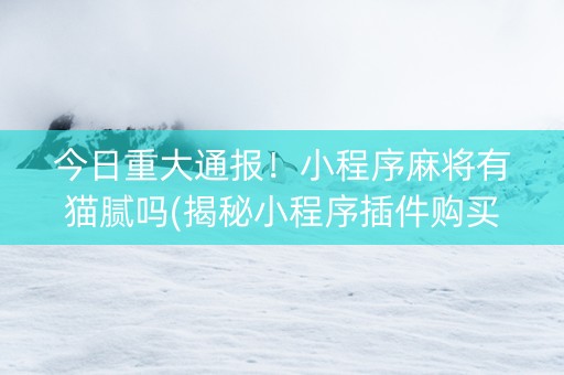 今日重大通报！小程序麻将有猫腻吗(揭秘小程序插件购买)