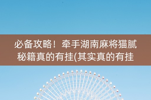 必备攻略！牵手湖南麻将猫腻秘籍真的有挂(其实真的有挂)