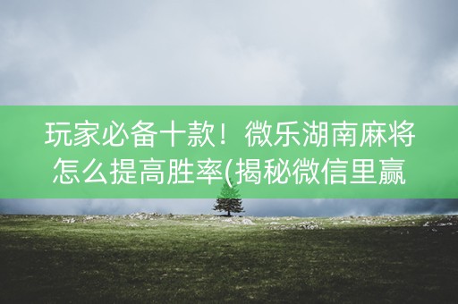 玩家必备十款！微乐湖南麻将怎么提高胜率(揭秘微信里赢牌的技巧)