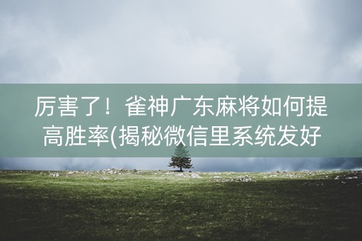 厉害了！雀神广东麻将如何提高胜率(揭秘微信里系统发好牌)