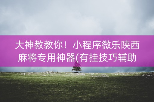 大神教教你！小程序微乐陕西麻将专用神器(有挂技巧辅助器)