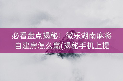 必看盘点揭秘！微乐湖南麻将自建房怎么赢(揭秘手机上提高胜率)
