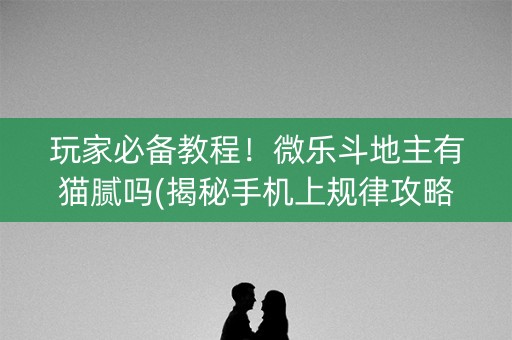玩家必备教程！微乐斗地主有猫腻吗(揭秘手机上规律攻略)