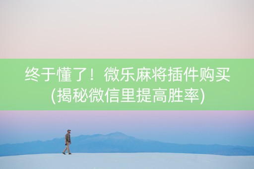 终于懂了！微乐麻将插件购买(揭秘微信里提高胜率)