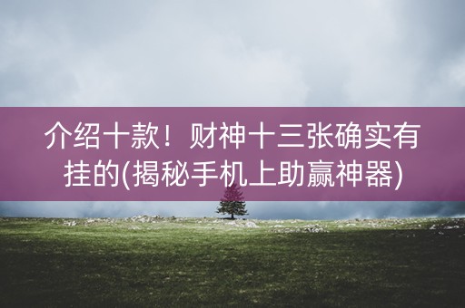 介绍十款！财神十三张确实有挂的(揭秘手机上助赢神器)