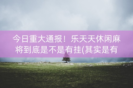 今日重大通报！乐天天休闲麻将到底是不是有挂(其实是有挂确实有挂)