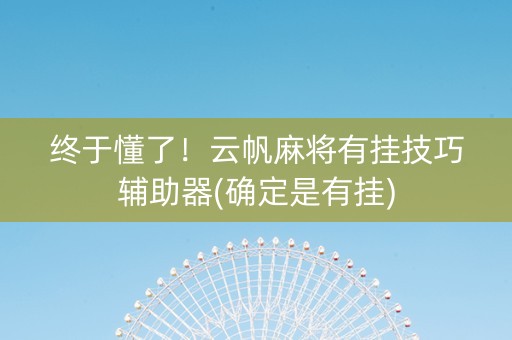 终于懂了！云帆麻将有挂技巧辅助器(确定是有挂)