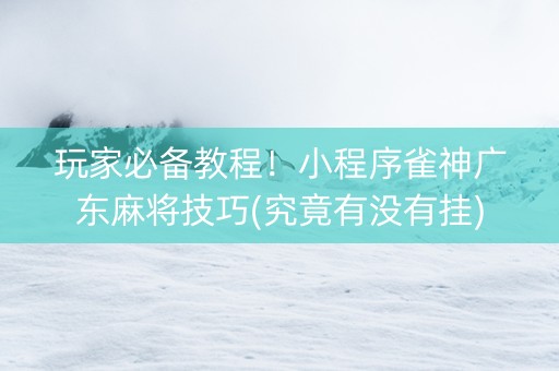 玩家必备教程！小程序雀神广东麻将技巧(究竟有没有挂)