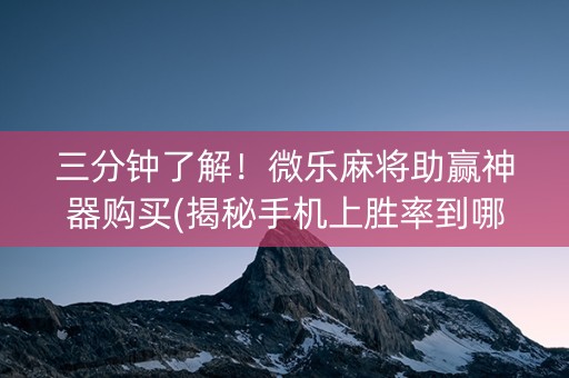 三分钟了解！微乐麻将助赢神器购买(揭秘手机上胜率到哪调)