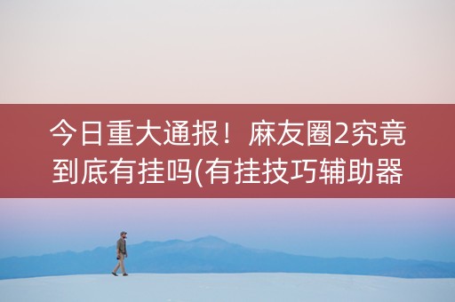 今日重大通报！麻友圈2究竟到底有挂吗(有挂技巧辅助器)