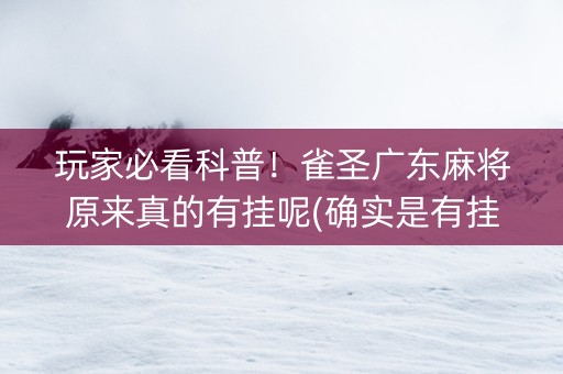 玩家必看科普！雀圣广东麻将原来真的有挂呢(确实是有挂)