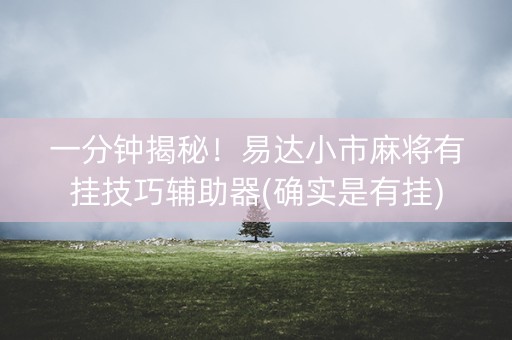 一分钟揭秘！易达小市麻将有挂技巧辅助器(确实是有挂)