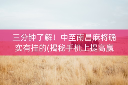 三分钟了解！中至南昌麻将确实有挂的(揭秘手机上提高赢的概率)