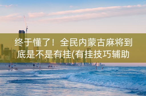 终于懂了！全民内蒙古麻将到底是不是有挂(有挂技巧辅助器)