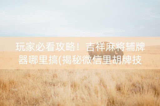 玩家必看攻略！吉祥麻将辅牌器哪里搞(揭秘微信里胡牌技巧)