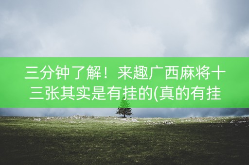 三分钟了解！来趣广西麻将十三张其实是有挂的(真的有挂)