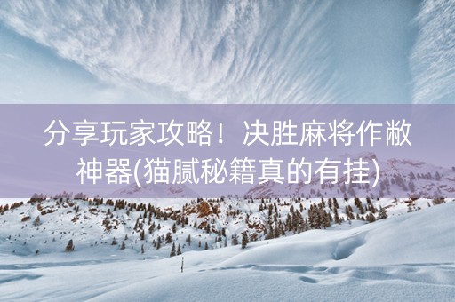 分享玩家攻略！决胜麻将作敝神器(猫腻秘籍真的有挂)