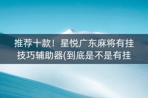 推荐十款！星悦广东麻将有挂技巧辅助器(到底是不是有挂)