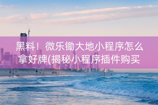 黑料！微乐锄大地小程序怎么拿好牌(揭秘小程序插件购买)