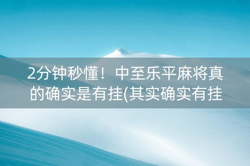 2分钟秒懂！中至乐平麻将真的确实是有挂(其实确实有挂)