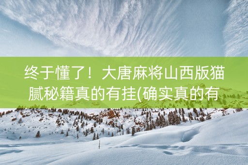 终于懂了！大唐麻将山西版猫腻秘籍真的有挂(确实真的有挂)