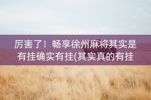 厉害了！畅享徐州麻将其实是有挂确实有挂(其实真的有挂)