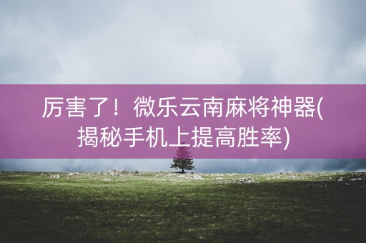 厉害了！微乐云南麻将神器(揭秘手机上提高胜率)