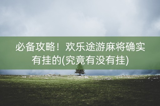 必备攻略！欢乐途游麻将确实有挂的(究竟有没有挂)