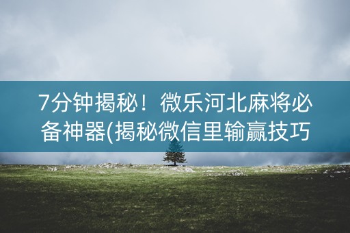 7分钟揭秘！微乐河北麻将必备神器(揭秘微信里输赢技巧)