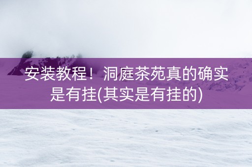 安装教程！洞庭茶苑真的确实是有挂(其实是有挂的)
