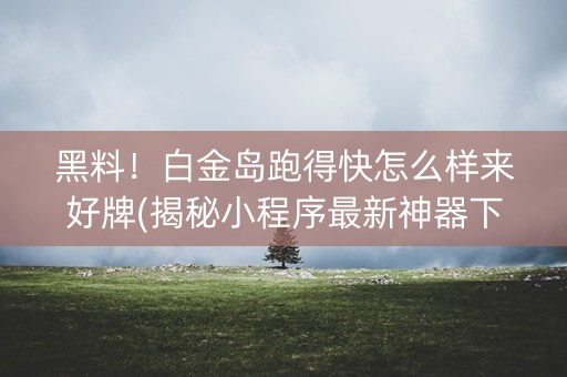黑料！白金岛跑得快怎么样来好牌(揭秘小程序最新神器下载)