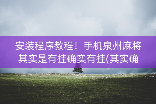 安装程序教程！手机泉州麻将其实是有挂确实有挂(其实确实有挂)