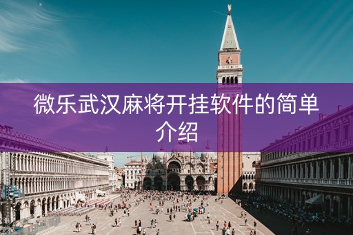 微乐武汉麻将开挂软件的简单介绍