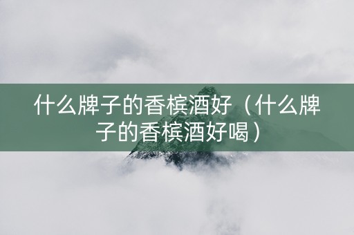 什么牌子的香槟酒好（什么牌子的香槟酒好喝）
