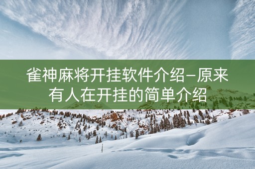 雀神麻将开挂软件介绍—原来有人在开挂的简单介绍