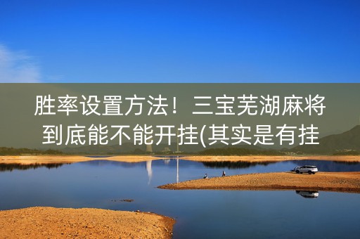 胜率设置方法！三宝芜湖麻将到底能不能开挂(其实是有挂确实有挂)