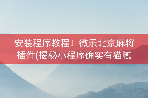 安装程序教程！微乐北京麻将插件(揭秘小程序确实有猫腻)