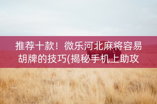 推荐十款！微乐河北麻将容易胡牌的技巧(揭秘手机上助攻神器)