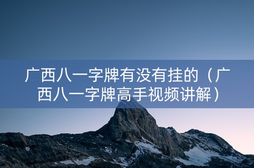 广西八一字牌有没有挂的（广西八一字牌高手视频讲解）