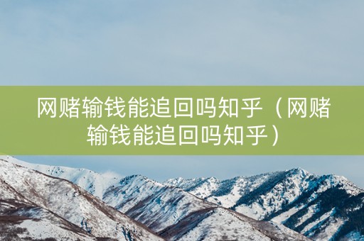 网赌输钱能追回吗知乎（网赌输钱能追回吗知乎）