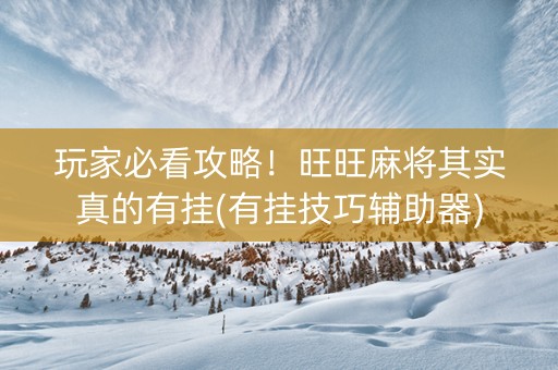 玩家必看攻略！旺旺麻将其实真的有挂(有挂技巧辅助器)