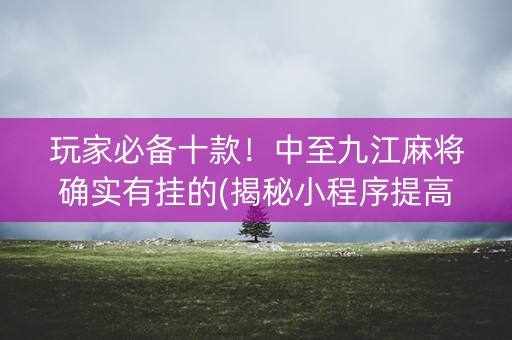 玩家必备十款！中至九江麻将确实有挂的(揭秘小程序提高赢的概率)