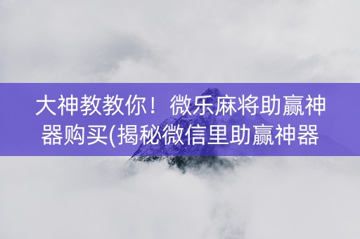 大神教教你！微乐麻将助赢神器购买(揭秘微信里助赢神器)