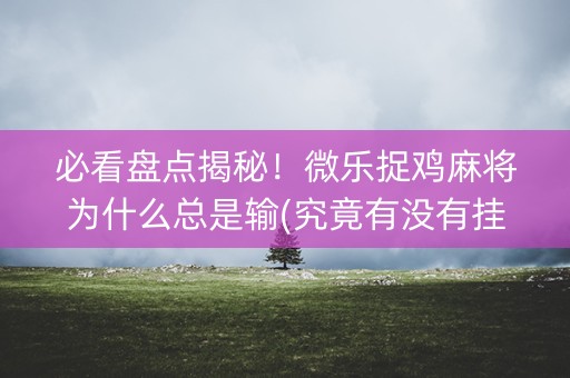 必看盘点揭秘！微乐捉鸡麻将为什么总是输(究竟有没有挂)