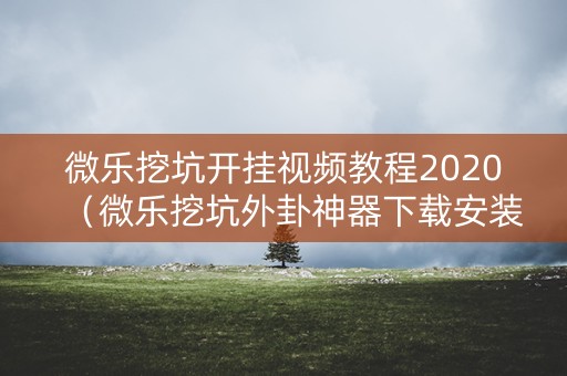 微乐挖坑开挂视频教程2020（微乐挖坑外卦神器下载安装）