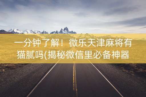 一分钟了解！微乐天津麻将有猫腻吗(揭秘微信里必备神器)