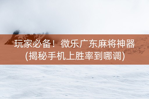 玩家必备！微乐广东麻将神器(揭秘手机上胜率到哪调)