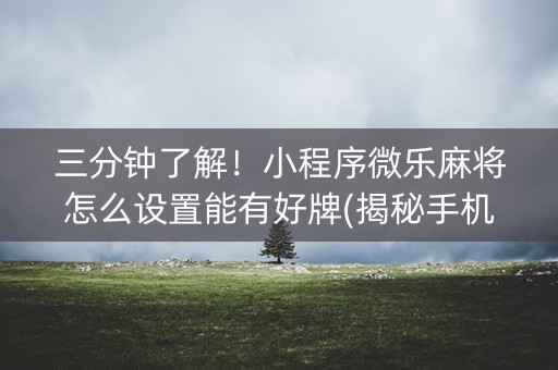 三分钟了解！小程序微乐麻将怎么设置能有好牌(揭秘手机上规律攻略)