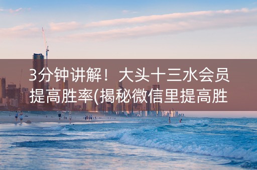 3分钟讲解！大头十三水会员提高胜率(揭秘微信里提高胜率)